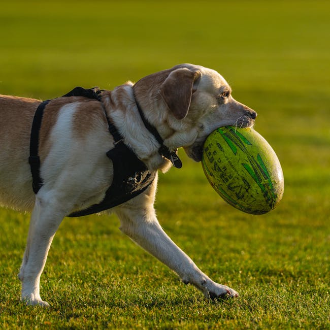 Descobrimos o Motivo Real pelo Qual o Seu Videogame Faz Esse Barulho Estranho
