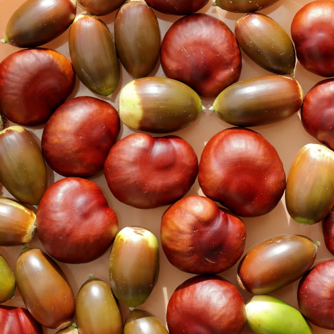 O que a sua cor verde favorita indica sobre o seu futuro amoroso