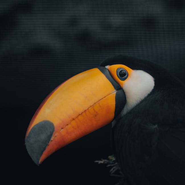 10 Segredos Obscuros Sobre a Amazônia