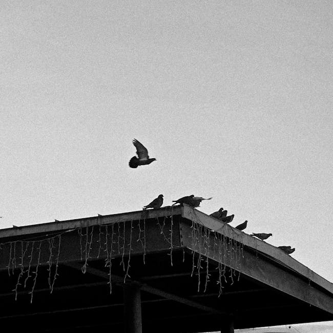 10 Coisas que Só Quem é de São Paulo Vai Entender