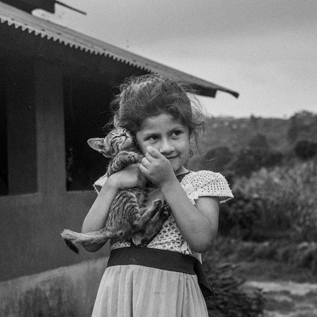 7 Sinais de que Seu Gato Está Tentando Avisá-lo sobre Algo