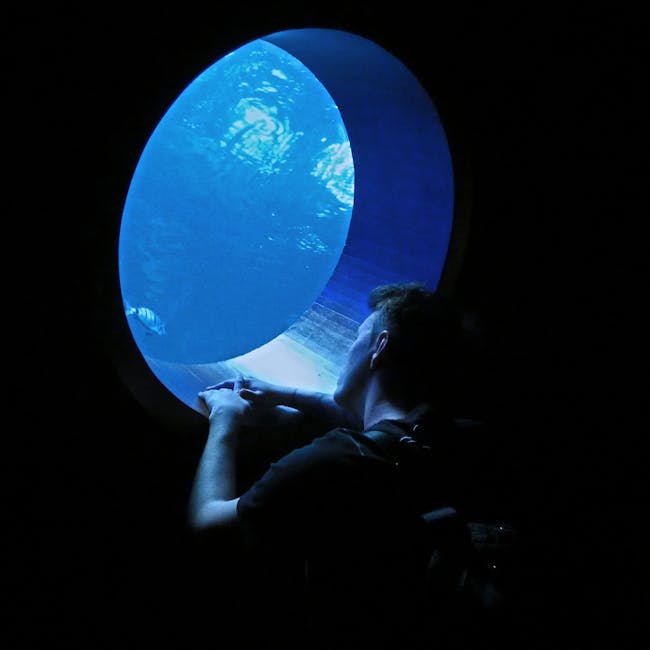 Se você fizer essas 10 coisas, você é mais inteligente do que a média